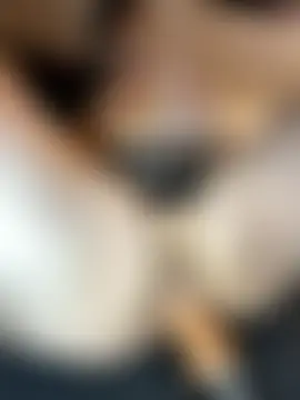 fatfabulous1981's Live Sex Cam Show