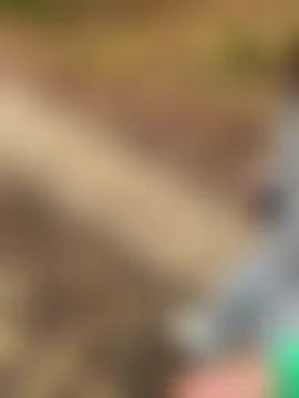 AvaFlowers6's Live Sex Cam Show