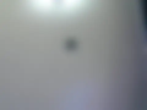 Rasta_tattooed's Live XXX Chat