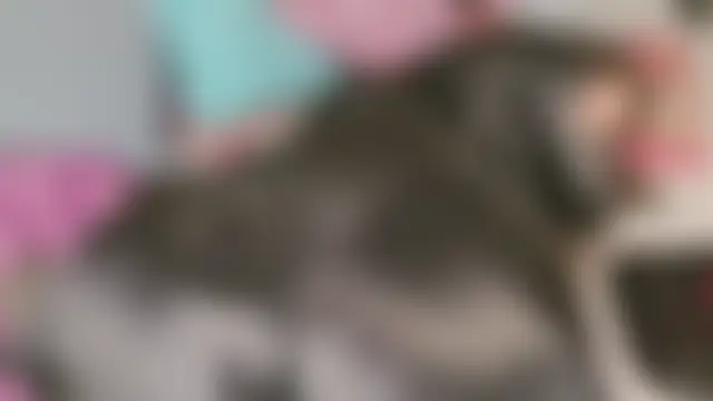 kamila_blush's Webcam Show