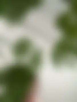 violetaurora95's Webcam Show