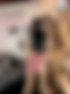 royalgirls_x's Webcam Show