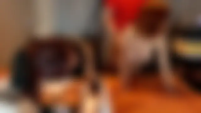 f4p_top's Webcam Show