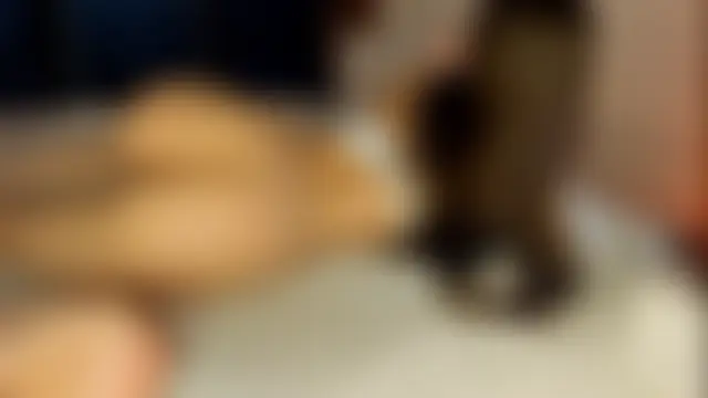 Rachel_Rey's Webcam Show