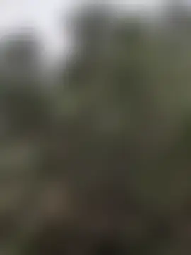 DarkDea's Live Sex Cam Show