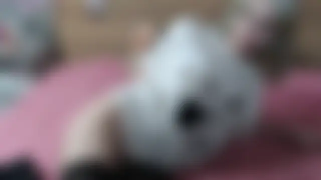 triplebakaaa's Webcam Show