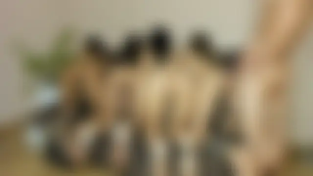 alice_rookie's Webcam Show