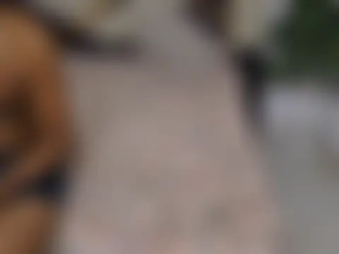 Lovelyy-couple's Live Sex Cam Show