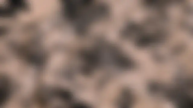 Paige_Turner's Webcam Show