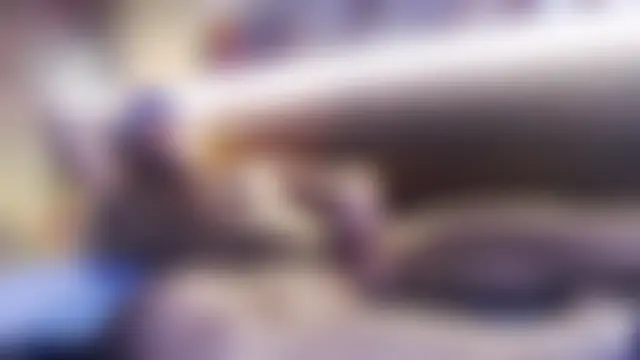 SonicJ25's Live Sex Cam Show