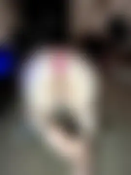 fatfabulous1981's Live Sex Cam Show