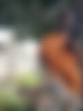 Broan_me's Webcam Show