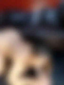 Sexyroseytitz_00's Webcam Show