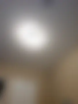 AmethystFoxx's Webcam Show