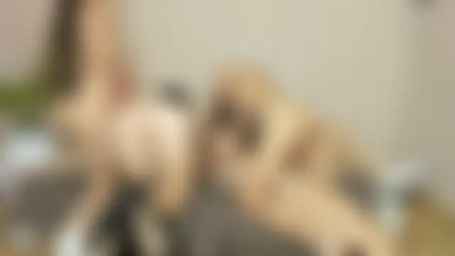 Goodlatin_girls' Live Sex Cam Show