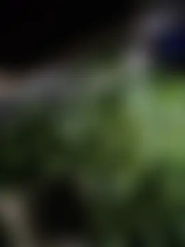 OdetteDelane's Webcam Show