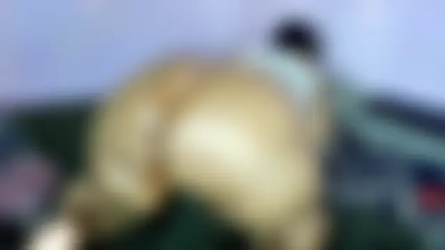 wilmaassylum's Webcam Show