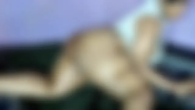 wilmaassylum's Webcam Show