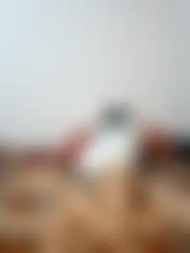 Lovebirdss' Live Sex Cam Show