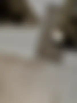 EVILYN's Webcam Show