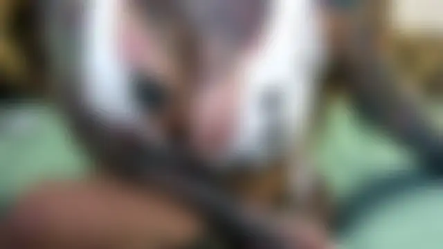 pamelagunns' Live Sex Cam Show