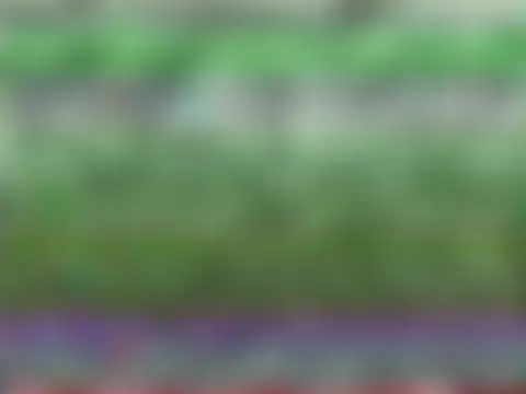 SquirtlegirlygirlmM's Webcam Show