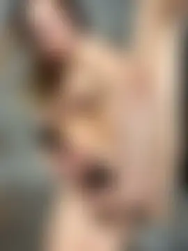 SweetieSinXXX's Webcam Show