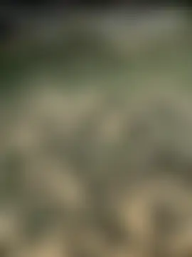 royalgirls_x's Webcam Show