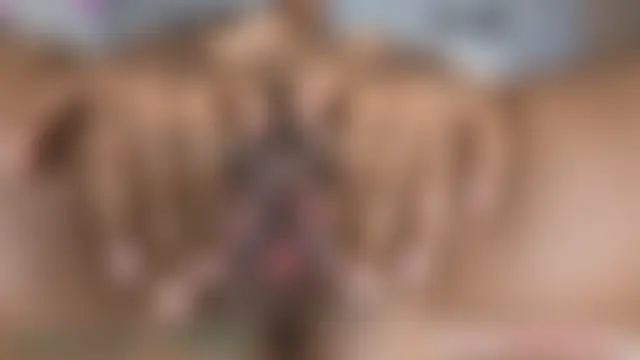 venus-magik's Live Sex Cam Show