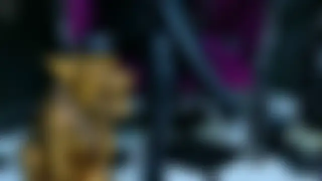 FinDomKaya's Live Sex Cam Show