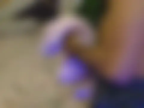 Lovelyy-couple's Webcam Show