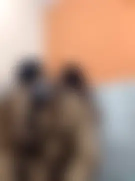 hot_plak's Live Sex Cam Show