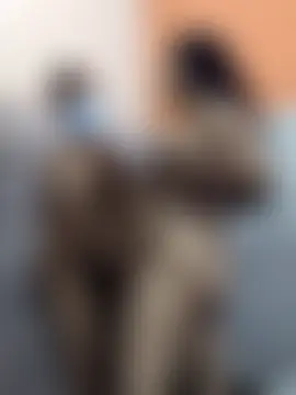 hot_plak's Webcam Show