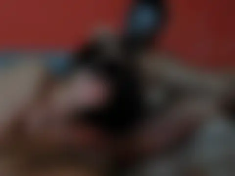 Goodvibratesduo's Live Sex Cam Show