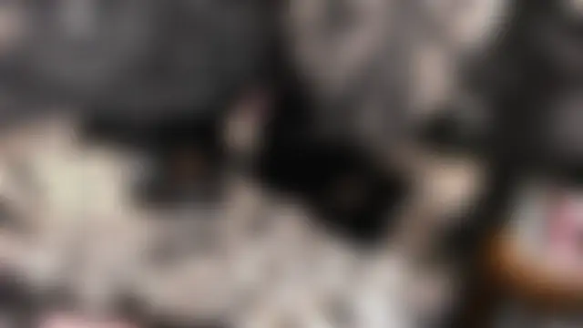 Paige_Turner's Live Sex Cam Show