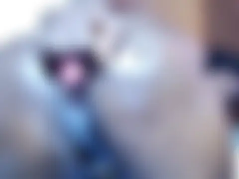 afro_pop's Webcam Show