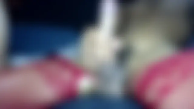 Big_SlutNasty's Live Sex Cam Show