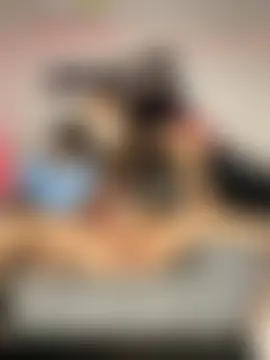 royalgirls_x's Webcam Show