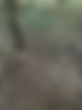 pimange34's Webcam Show