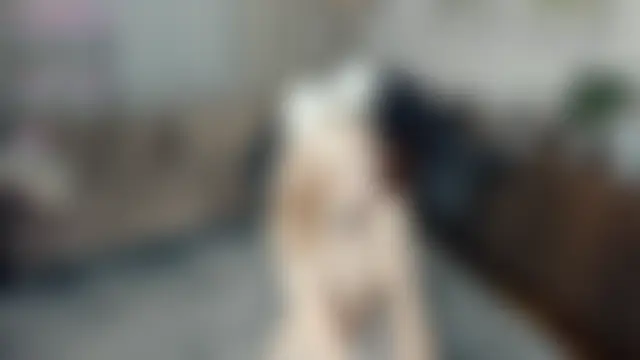 LaureMestler's Live Sex Cam Show