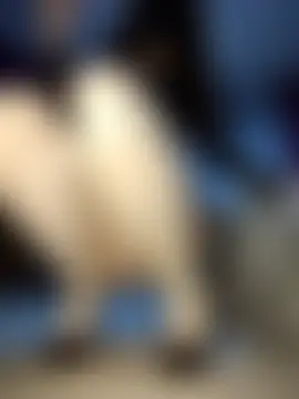 Akemi_rossi's Live Sex Cam Show