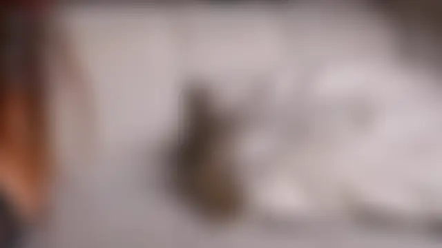 BestModelsDuo's Webcam Show