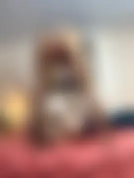 Lusty_Ladiiees' Webcam Show