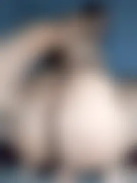 paula_temptation's Webcam Show