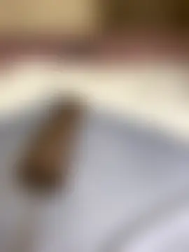 Lola_Hale's Webcam Show