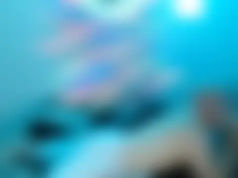 Jeiison_duf's Live Sex Cam Show