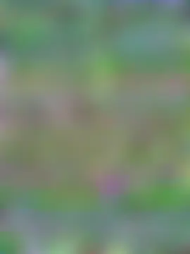 Officialbabe's Live Sex Cam Show