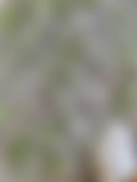 shaoshao-7758's Live Sex Cam Show