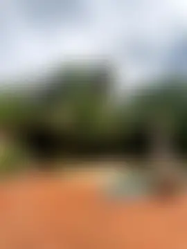 xXXSexyamazon's Webcam Show