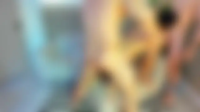 Justingsex1's Live Sex Cam Show